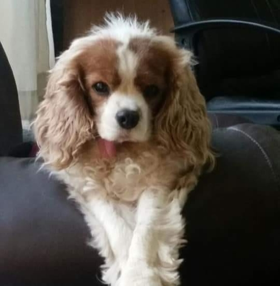 Meet your Posher, Brook - Picture 1 of 1